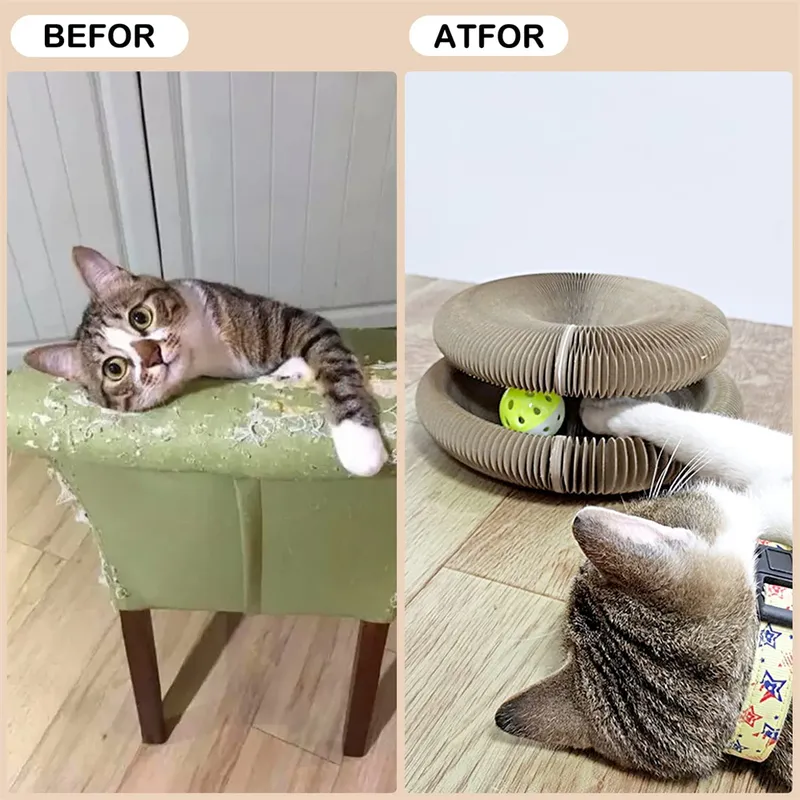 Griffoir Magic Organ Pour Chat – 5 En 1 Avec Balle à Grelot | Tunnel, Cachette, Aire De Jeu | Carton Recyclable - 3