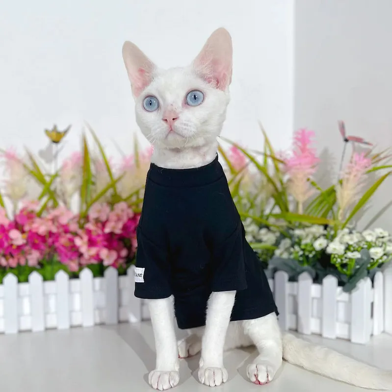 Kitty Sphynx Cat Clothing 220908 119.49 DHgate