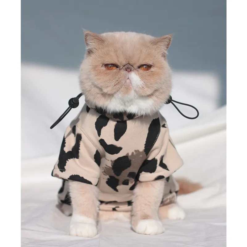 Capucha de gato hot sale