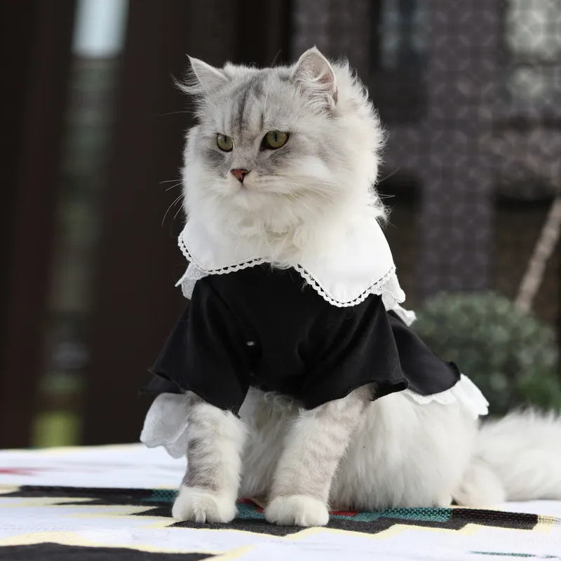 Transformed Cat Maid Costume For Spring And Summer Pet Skirt And Dress Set For Dogs And Cat Accessories To Wear 220908 From Kong09 14.2 DHgate.Com