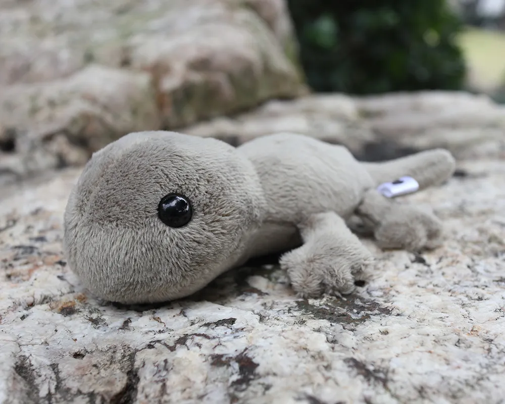 Animal en peluche lézard, jouet en peluche lézard doux avec des