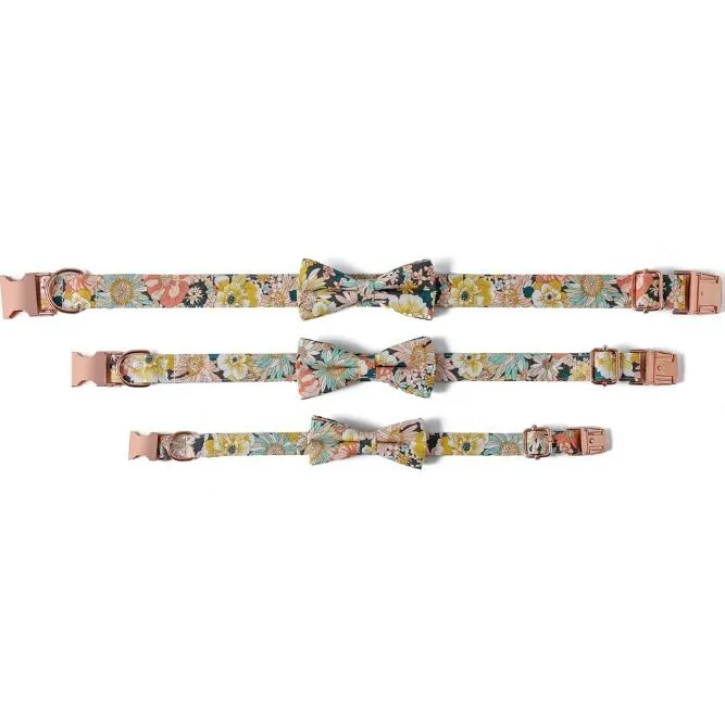 Cute male cheap puppy collars