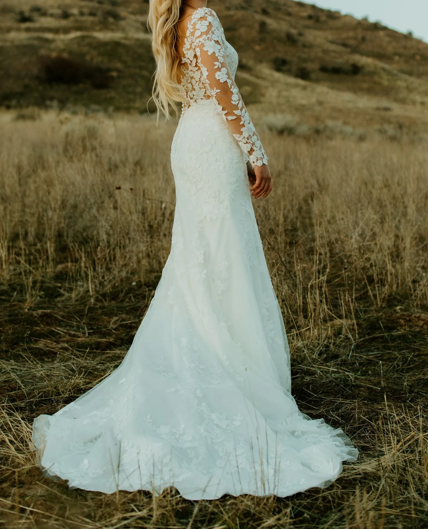 Stella Bridal Wedding dress 2023 - Sheer Illusion Long Sleeves Mermaid Style with Court Train, V-Neckline, Head-to-toe Graphic Lace Detailing, and