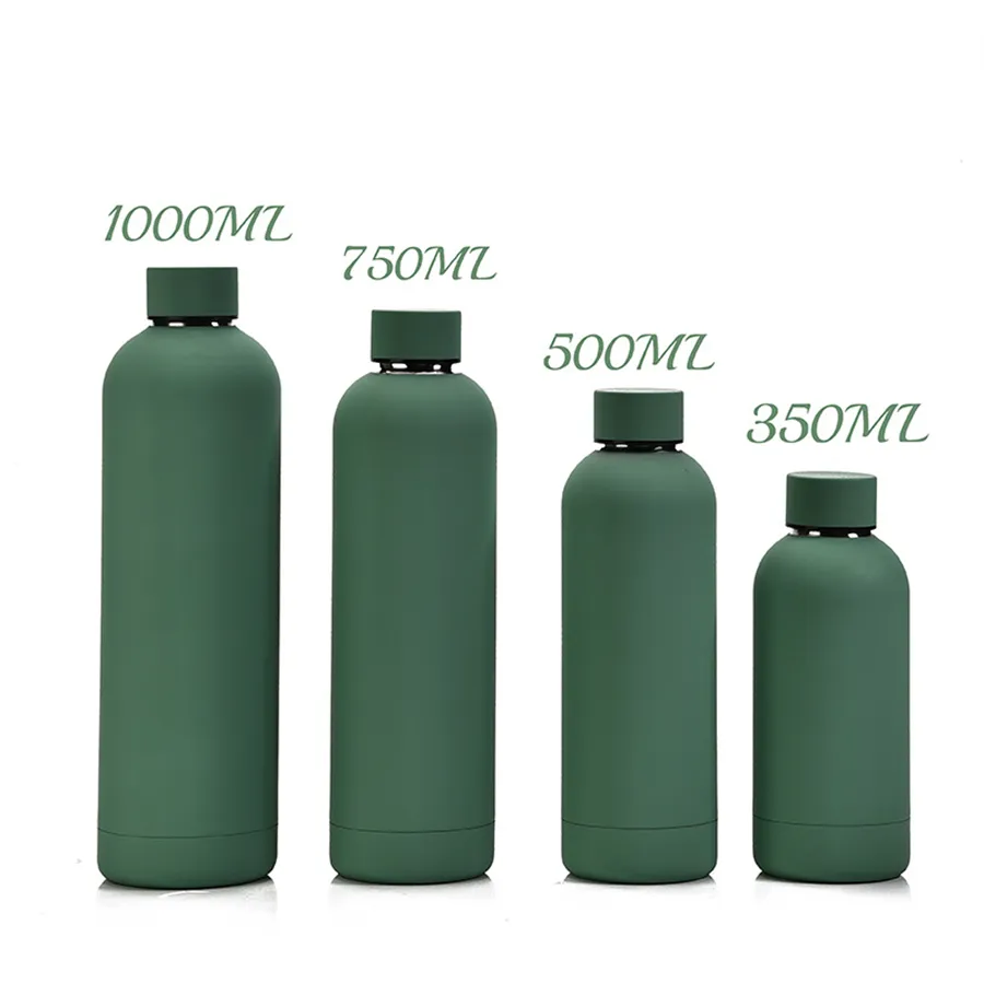 500ml Insulated Stainless Steel Water Bottle - Portable