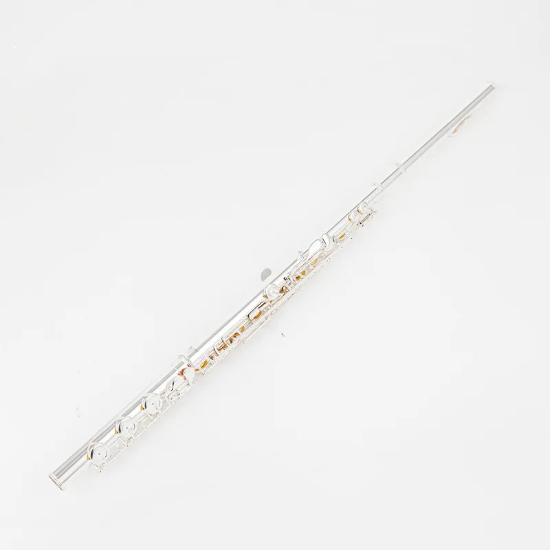 Japan 797 flute Sliver Flute 17 Open Hole C Tune E key Musical instrument Professional with Case 
