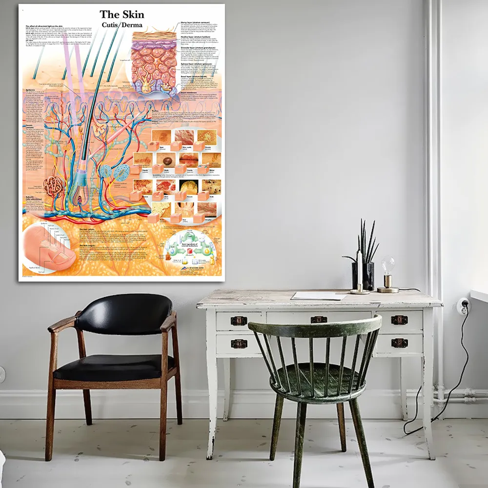 WANGART Anatomy Dissection Skin Anatomical Charts Posters Laminated ...