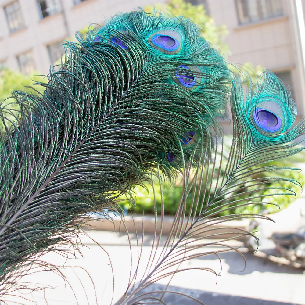 Plumas De Pavo Real: 10 Plumas Naturales De Ojos Grandes Para Manualidades,  Bodas, Fiesta, Centro De Mesa, Decoración De Carnaval De 18,83 € | DHgate, image size:1000x1000