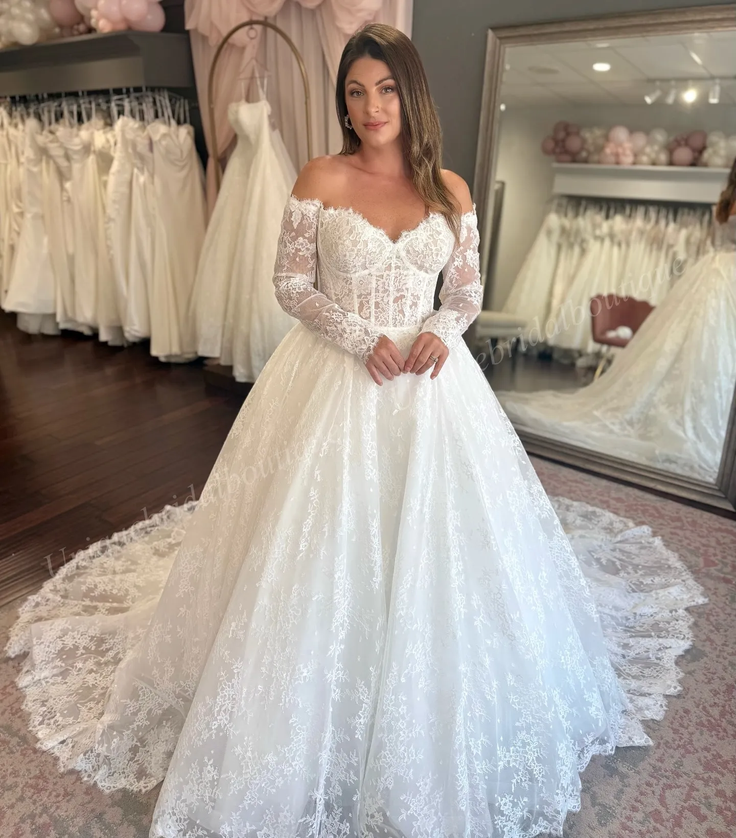 Chantilly Lace Wedding Dress 2026 Long Sleeve Ivory Ballgown Bridal  Ceremony Photo Reception Engagement Party Gown Garden Castle Chapel  vestidos de 